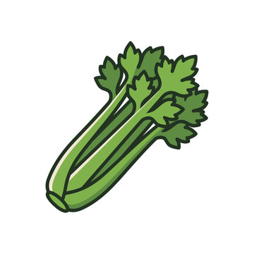 broccoli isolated