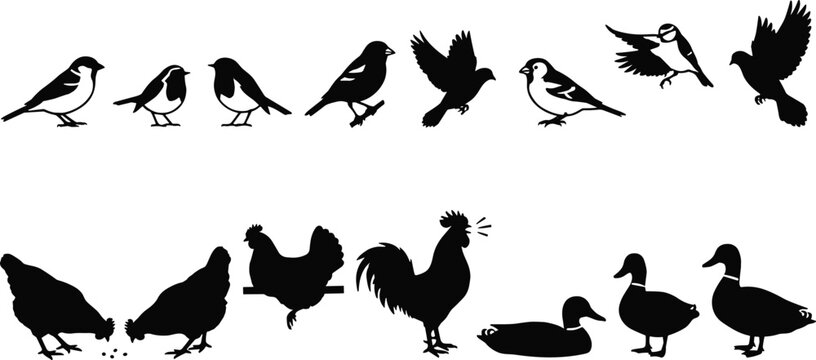 PrintBlack Silhouette Various Birds Sparrow Pigeon Chicken Rooster Duck Flying Perching Poses Vector Icon Set for Nature Farm Graphic Designs