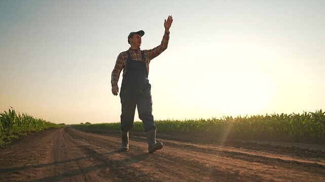 Farmer waving high hand on open road, smiling man walks next to lush corn. Waving hand greets neighbors near road, farmer keeps pace by corn. Road stretches with waving farmer enjoying evening.