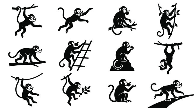 Set of twelve black monkey vector silhouettes featuring primates in active poses like climbing, hanging from tree branches, walking, and eating fruit isolated on white background.
