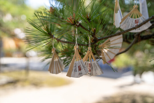 Miyazu Bay, Japan -The folding fans (sensu) at Chionji Temple, is a Japanese Zen Buddhism temple
