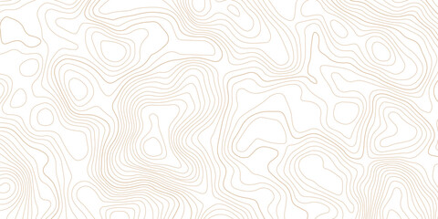 Fototapeta premium Abstract topographic map contour lines pattern in light brown with topographic abstract geography elevation cartography geological minimalist background