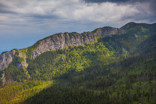 Sunlit green mountain valley with meadow, forested slopes in Zakopane Tatras mountains