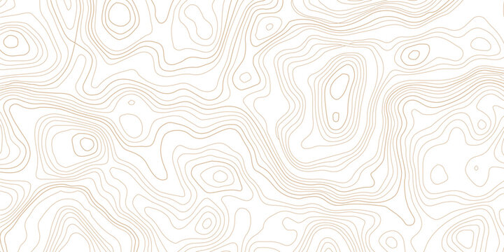 Topographic map lines contour pattern on white background with topography cartography geography abstract elevation navigation technical background