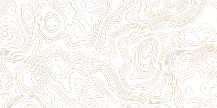 Topographic map lines contour pattern on white background with topography cartography geography abstract elevation navigation technical background
