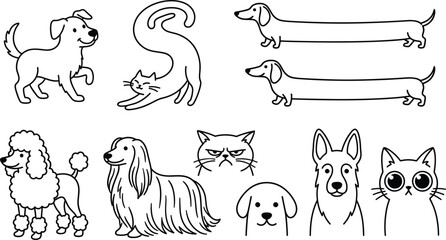 Funny cartoon dog and cat doodle vector icon set featuring extra long dachshunds stretching kittens poodle and various pet breed outline characters. © mdhusne