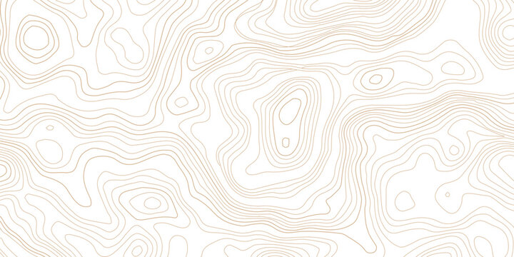 Topographic map lines contour pattern on white background with topography cartography geography abstract elevation navigation technical background
