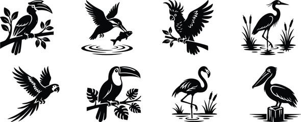 Exotic bird silhouette set with hornbill, kingfisher, cockatoo, heron, parrot, toucan, flamingo, and pelican design © MdAshik