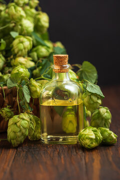 Hops oil extract bottle with fresh green plants