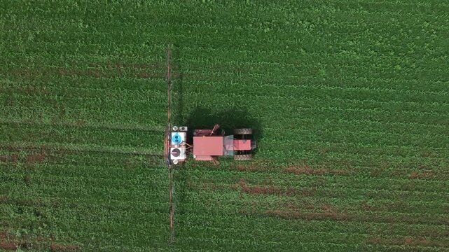 Agricultural tractor applying pesticide or fertilizer to young corn crops