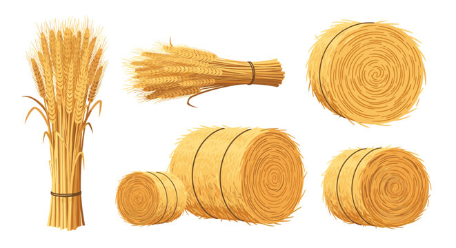 Golden agriculture harvest elements set featuring bundled wheat sheaves and round rolled hay bales in different angles.