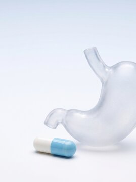 Stomach Model with Medical Capsule for Digestive Health Concept