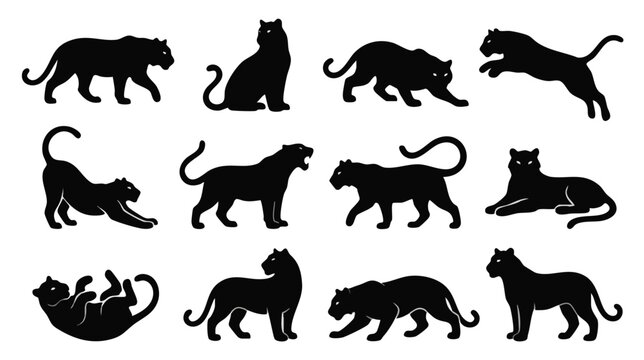 Collection of Elegant Black Panther Silhouettes in Various Dynamic Poses and Wild Cat Movement Vector Set