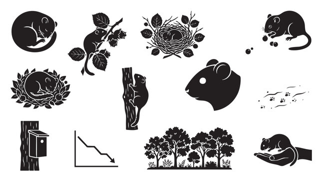 Hazel dormouse life cycle and habitat silhouette icons showing nesting and climbing behavior.