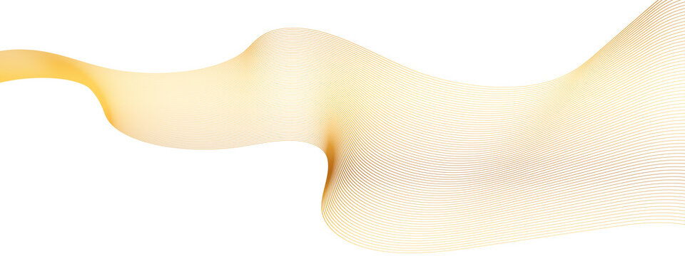 Yellow wavy abstract pattern with thin lines  gradient design element  smooth flowing curves  modern graphic resource transparent background