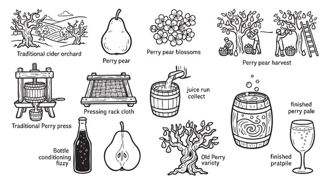 Traditional perry making process from pear blossoms to finished perry including harvesting, pressing, and bottling.