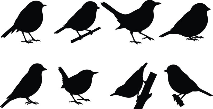 Set of small bird silhouettes including sparrows perched on branches isolated vector icons