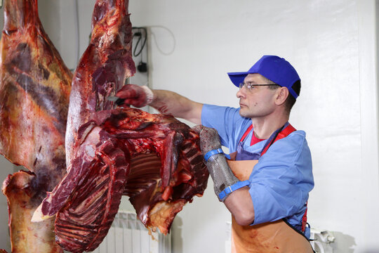A meat-packing plant worker butchers a horse carcass. Pieces of meat. Heavy physical labor. Horse carcasses hang in the workshop. Meat-processing business concept