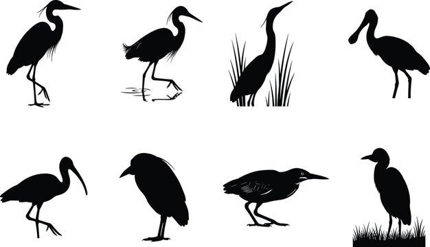 PrintHeron and wetland wading birds vector silhouette bundle with egret ibis spoonbill and bittern isolated shapes
