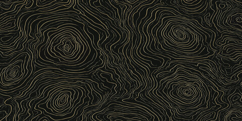 Intricate golden topographic lines on black abstract backdrop with topography abstract background geography cartography elevation metallic landscape minimalist creative artistic geometric © MOHAMAD