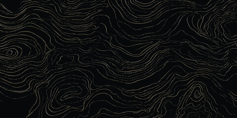Fototapeta premium Monochromatic topographic line map pattern on dark background with topographic abstract background geography elevation seamless cartography wallpaper backdrop navigation visualization