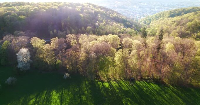 Aerial view of lush landscape on hills in spring, with backlit beautiful trees casting shadows on a meadow