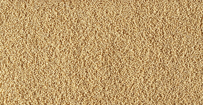 Amaranth seeds close up, background and texture