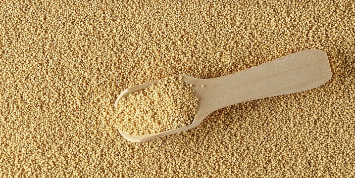 Amaranth seeds in wooden spoon, background and texture, top view