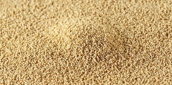 Amaranth seeds closeup, background and texture, side view