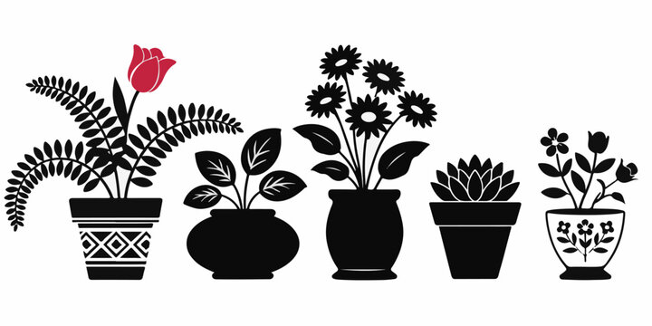Silhouette collection of potted plants with various leaf shapes and single red tulip flower in ceramic containers on white base.