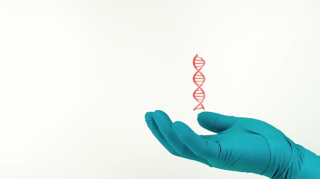 A doctor's hand, wearing green gloves, displays DNA. Medical genetics, prevention of hereditary diseases, paternity testing, and total sequencing. Isolated on a white background.
