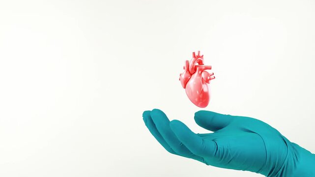 A doctor's hand, wearing green gloves, points to the heart. Heart health, prevention of heart attacks and cardiovascular diseases. Isolated on a white background.