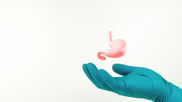A doctor's hand, wearing green gloves, shows the stomach. Digestive health, prevention of gastritis and stomach cancer, routine endoscopy examination. Isolated on a white background.