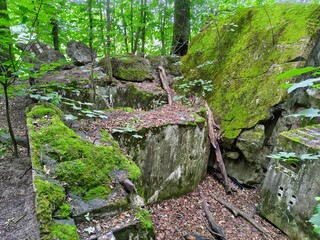 Ruiny starego bunkra  © WalDec