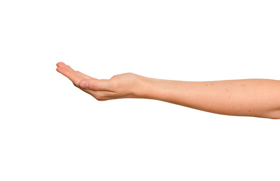 hand hold palm