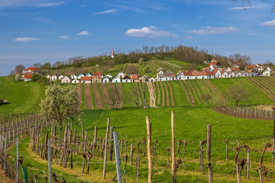 Wildendurnbach Galgenberg wine village with vineyards in Lower Austria