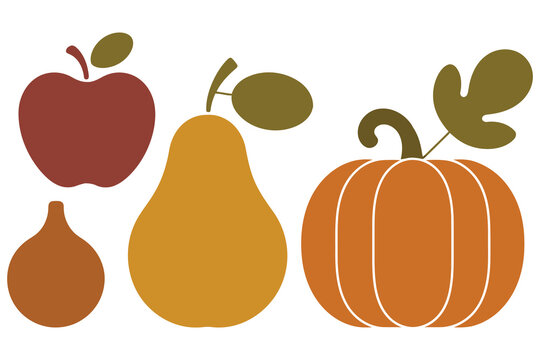 Stylized autumn harvest fruits and pumpkin depicted as colorful graphic elements