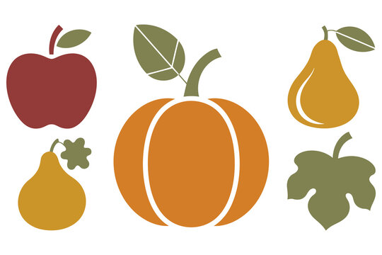 Stylized autumn harvest fruits and vegetables including apple pear pumpkin and leaves