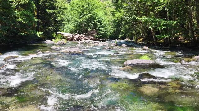 Fresh water flows down the Clackamas River in Northwestern Oregon, not far from Salem. Originating in the Mt. Hood National Forest, this beautiful 83-mile river is a tributary to the Willamette River.