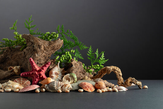 Abstract nature scene with a composition of seashell, starfish, green branches, and snags.