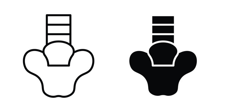 Pelvis icon editable design set