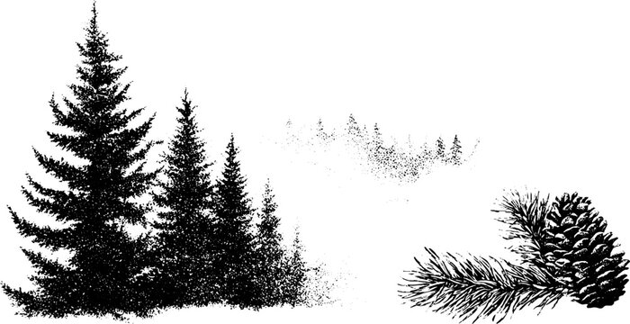 Black and white stipple sitka spruce forest cluster with coastal fog and cone branch for background and design elements