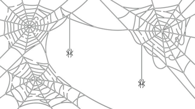 Halloween Spider Web Border Frame with Hanging Spiders Minimal Line Art Vector Background