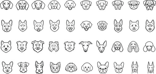 Hand Drawn Dog Breed Head Collection Line Art Icons Set with Popular Canine Faces © Creative Vector