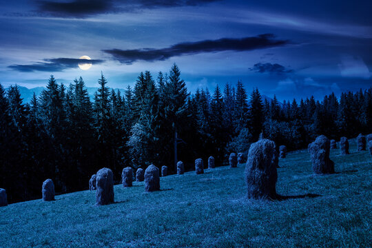 rural landscape with coniferous forest on a green hill at night. full moon over spruce trees on grassy meadow in tatra mountains. summer vacation in poland. mysterious fantasy