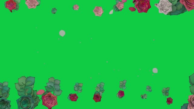 Roses shedding petals from top rim, petals drifting and turning over transparent frame forming rim