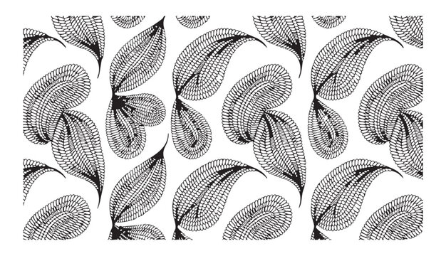 Abstract floral pattern, many beautiful hand drawn leaves in black on a transparent background.
