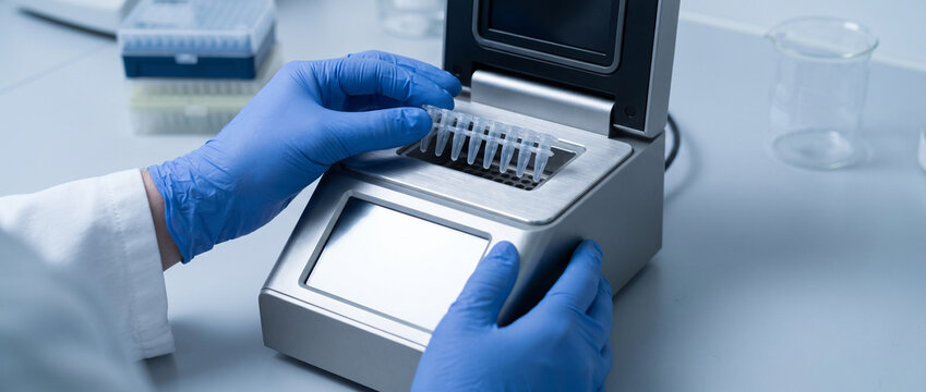 Gloved hands loading PCR tubes into a thermal cycler
