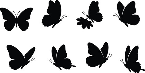 Collection of black butterfly silhouettes in various flying and resting positions isolated on a clean white background © AshaRani