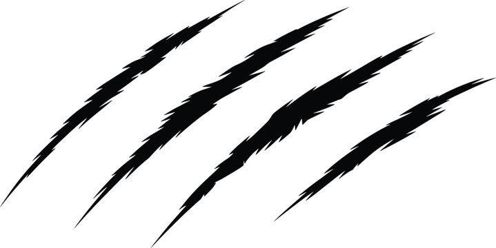 Black claw marks scratch silhouette vector with wild animal beast monster or werewolf ripped tear marks design element